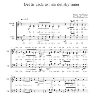 Det är vackrast när det skymmer