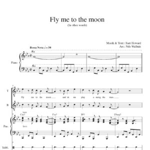 Fly me to the moon